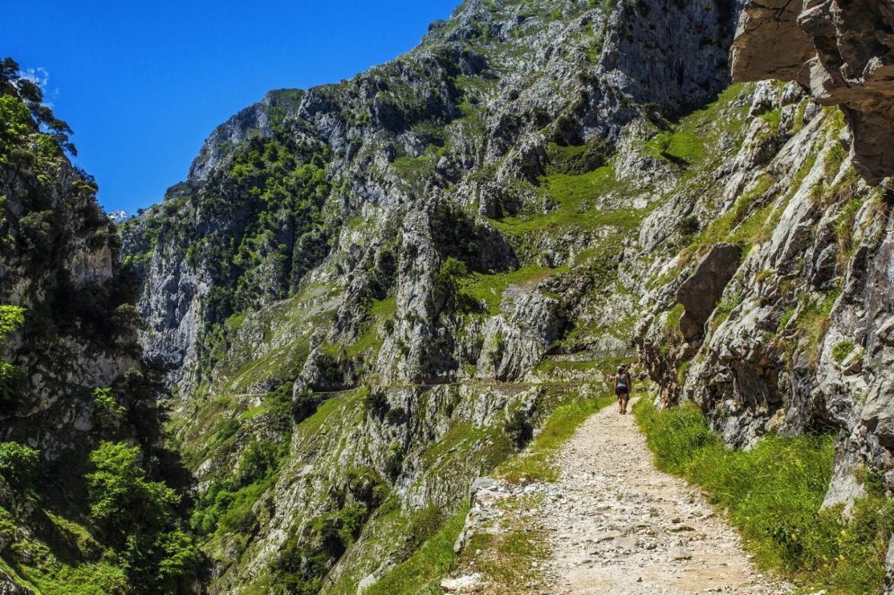 El Mirador De Meron San Vicente De La Barquera Exteriör bild